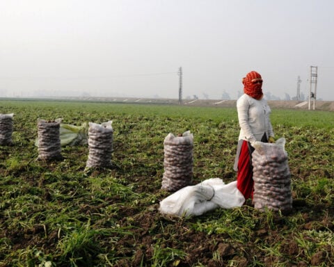 India-US trade talks go off rails on row over farm markets