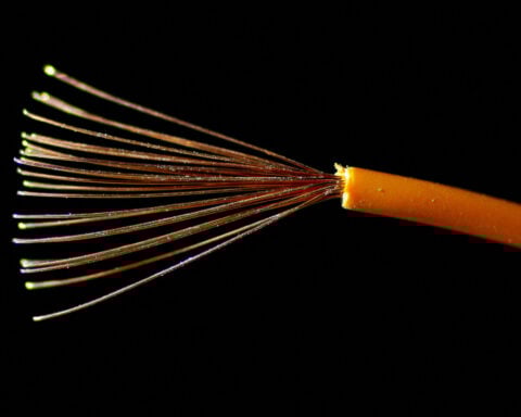 Trump's scrap copper quotas too small to shift the market