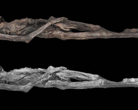 New imaging reveals intricate tattoos on 2,000-year-old Siberian ‘ice mummy’