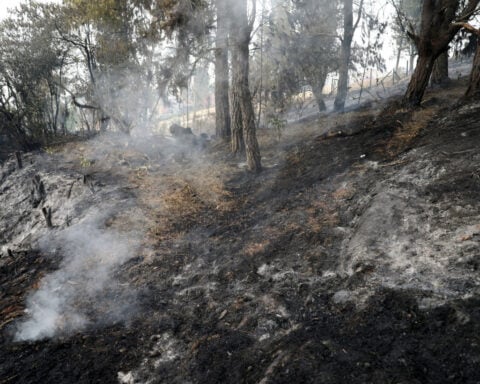 Colombia deforestation surges 43% fueled by fires, land-grabbing