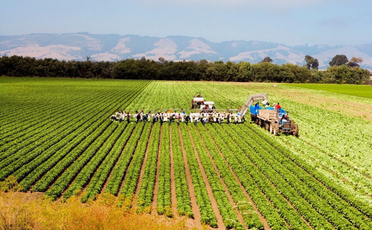 California immigration raids
