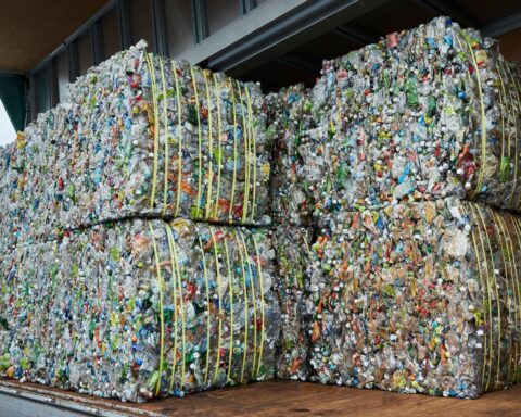 Bacteria converts plastic waste to popular pain medicine in scientific leap