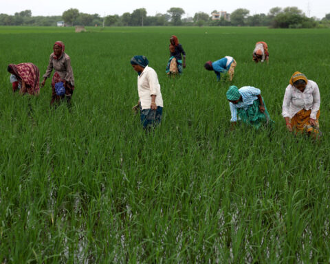 Why has India vowed to protect its farmers in the face of tariff threats?