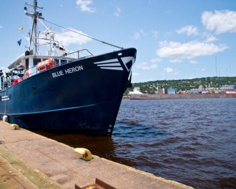 A black goo was oozing from a ship on the Great Lakes — and teeming with life