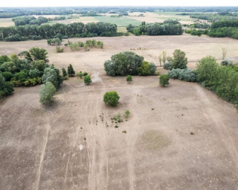 Farmers consider abandoning drought-hit region in central Hungary