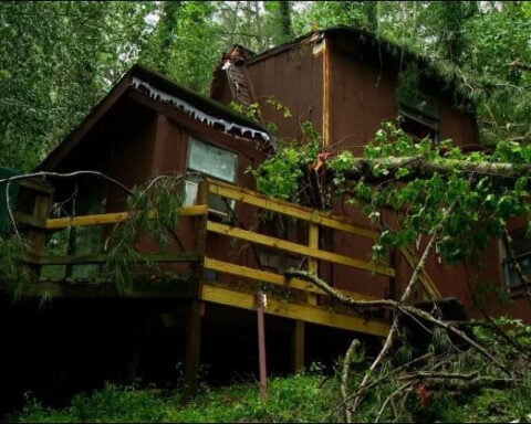 Firefighters rescue family trapped by fallen tree; home declared total loss