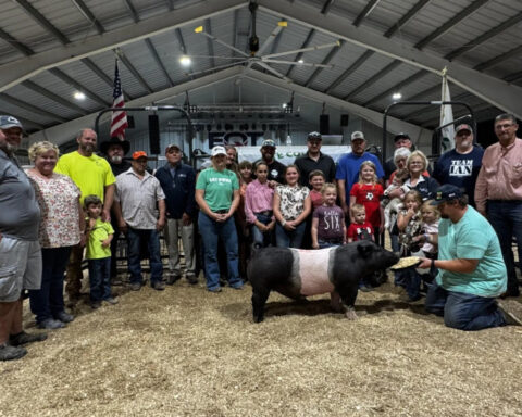9-year-old at fair donates proceeds from selling her pig to help build a new barn