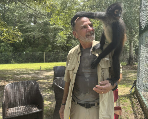 A Mississippi monkey sanctuary helps veterans with PTSD find peace