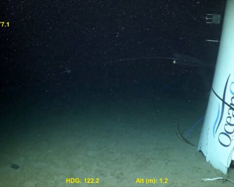 Titan sub disaster was preventable, US finds in scathing report