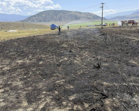 A bird dropped a fish on power lines and sparked a brush fire in Canada, firefighters say