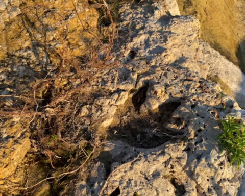 The Texas floods washed away debris and dirt. They also uncovered 100-million-year-old dinosaur tracks