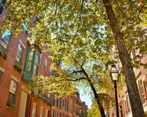 Inside an urban heat island, one street can be much hotter than its neighbor – new tech makes it easier to target cooling projects