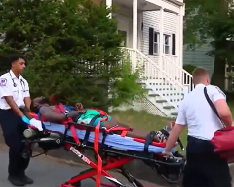 Man found hiding in tree after leading police on hourlong chase