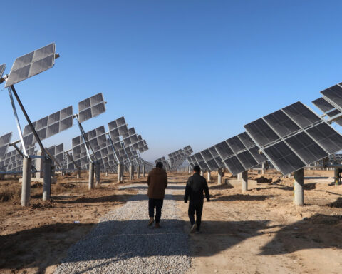 China's solar power capacity growth to slow in H2 after pricing reforms