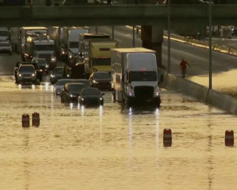 Parents and child killed when tree falls on car as heavy rain and flooding hit Tennessee