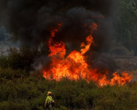 Wildfires fanned by heatwave and strong winds rage across Europe