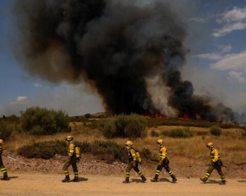 Spain seeks help from European partners to tackle wildfires
