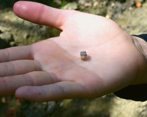 She spent years hoping to find a diamond for her engagement ring. She found one in an Arkansas park
