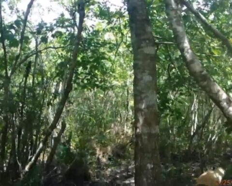 Body cam captures moment FWC K-9 finds missing hunter in wildlife area