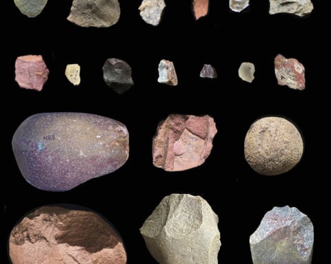 Stone Age humans were picky about which rocks they used for making tools, study finds