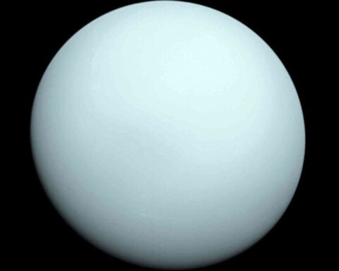 NASA's Webb telescope finds a new tiny moon around Uranus