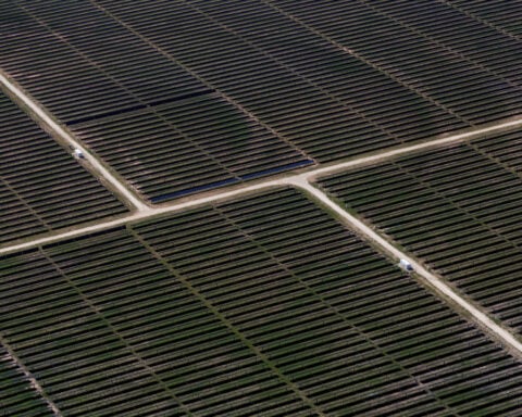 Solar may account for half of new US electricity added this year, EIA says