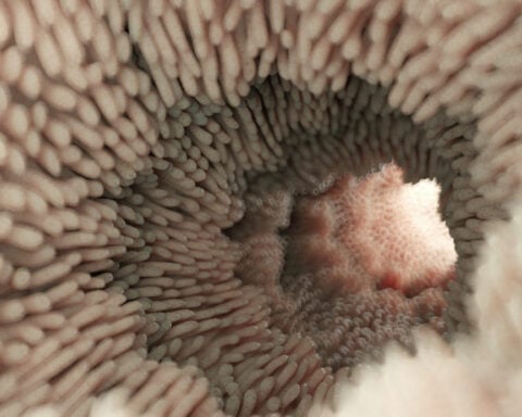 How does your body make poop?
