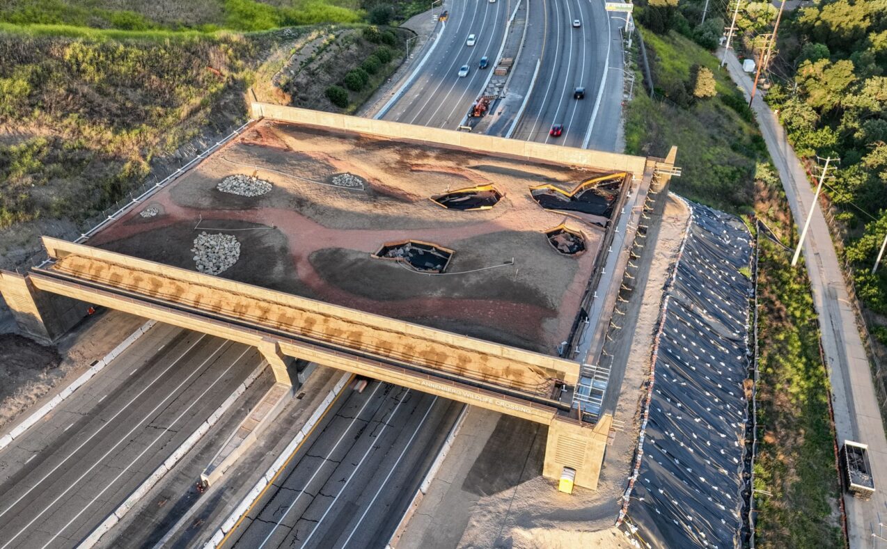 Wallis Annenberg Wildlife Crossing