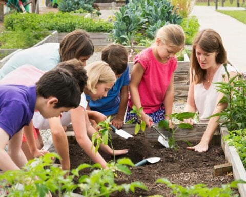 Can L.A. schools overcome funding woes for green projects?