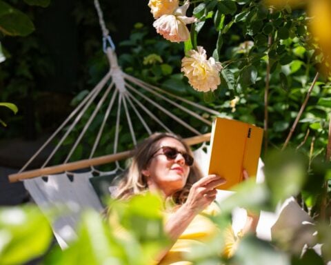 Study shows major drop in recreational reading as technology competes for free time