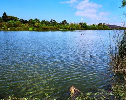 Peaceful water walks in Los Angeles go beyond the coastline