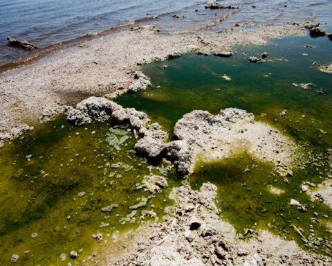 It’s not just a smell — the Salton Sea is poisoning the air