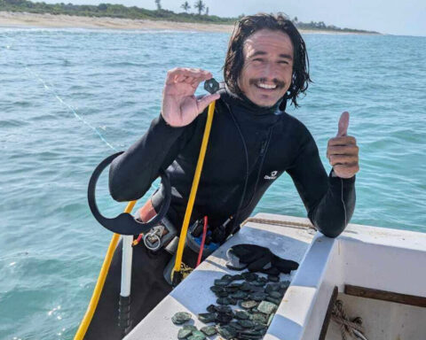 Excavators find $1 million in gold coins from Spanish shipwreck along Florida's 'Treasure Coast'