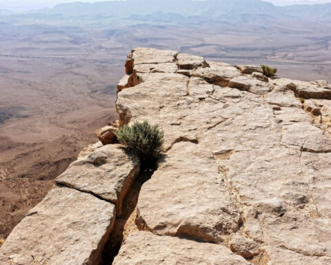 US economy is already on the edge – a prolonged government shutdown could send it tumbling over