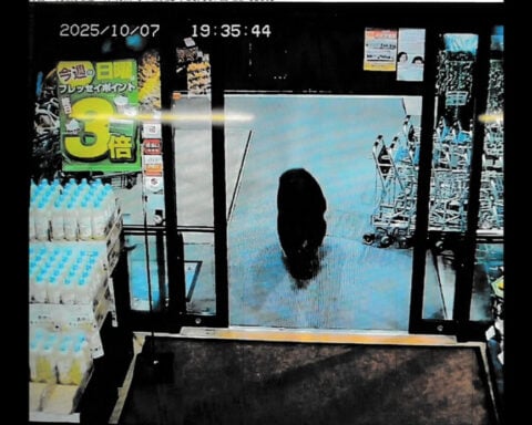 Bear enters Japanese supermarket, pounces on customer, as nationwide toll reaches new high