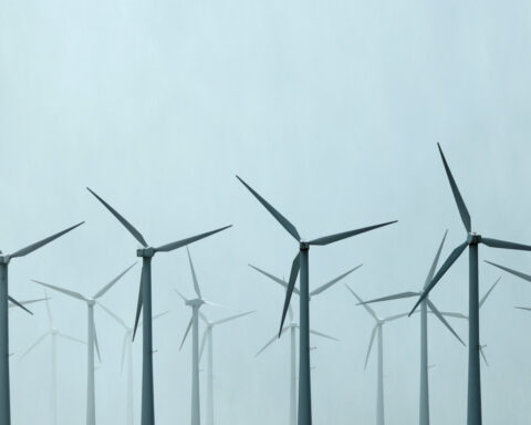 'Every electron counts': Why renewables stocks are back in play