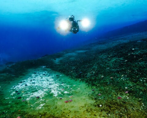 Scientists discovered something alarming seeping out from beneath the ocean around Antarctica