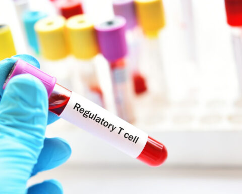 How pollution and the microbiome interact with Tregs, the immune system regulators whose discovery was honored with the Nobel Prize