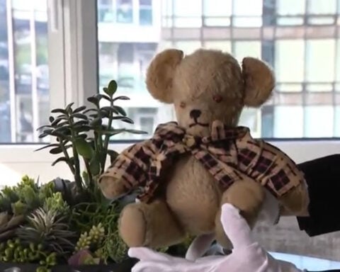 Teddy bear that helped save family from the Holocaust to be displayed in museum