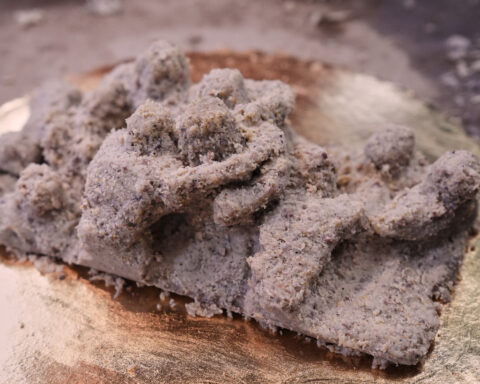 Scrapple sculpture contest winner prevailed in Eagles country by putting the pig into pigskin