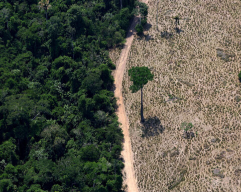 World falling far behind deforestation goals with farms and fires driving loss, report says