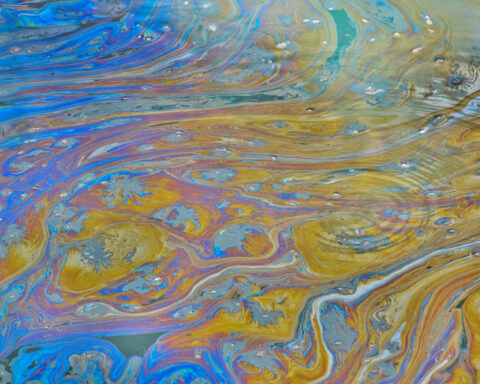 Industrial facilities owned by profitable companies release more of their toxic waste into the environment