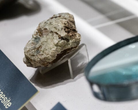 China's rare earth curbs put Europe's auto industry at risk, Italian lobby says