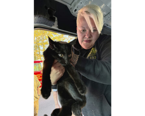 Driver following too close behind van charged in crash that killed 3 adults, 5 kids, officials say