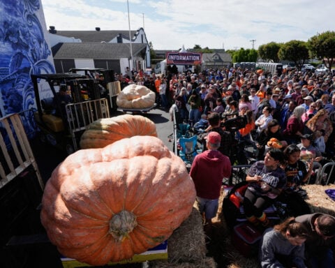 California engineer wins pumpkin contest with 2,346-pound gourd