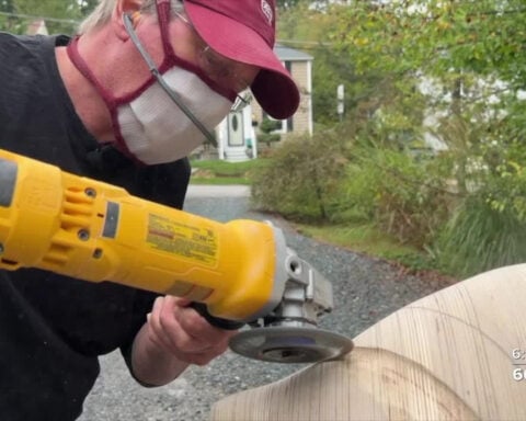 Artist transforms plywood into flowing functional sculptures inspired by nature