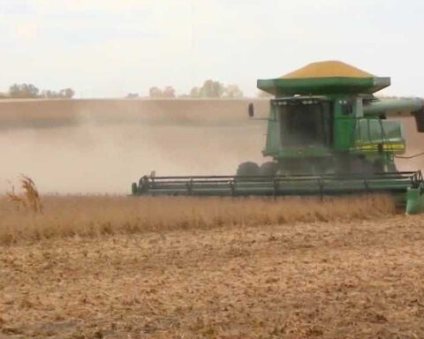 Iowa farmers sound alarm as Trump administration backs $20 billion Argentina bailout