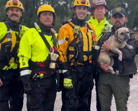 Firefighters rescue stranded pup from rising floodwaters in Southern California