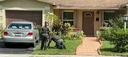 Surveillance video shows dogs charging at man mauled by dogs