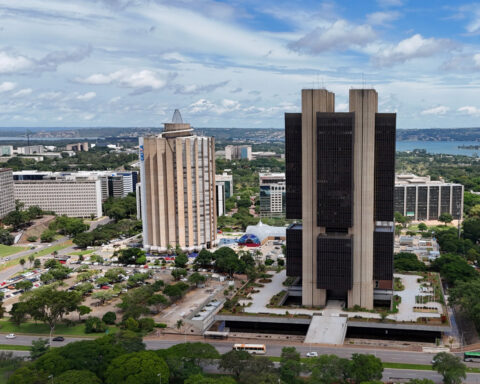 Brazil interest rates must stay on hold until data converge, says cenbank director